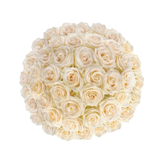 A captivating White Rose Bouquet by GiftedFLWR, a symbol of pure elegance and timeless beauty, perfect for expressing sentiments of love, sympathy, or congratulations. Meticulously curated white roses with flawless petals create a visually stunning arrangement, complemented by lush greenery for a touch of refinement. Ideal for any occasion, this bouquet radiates tranquility and sophistication.